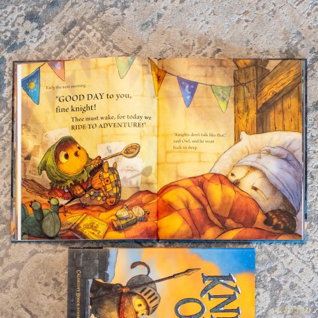 Knight Owl and Early Bird: 2 (The Knight Owl) - Christopher Denise [KSIĄŻKA]