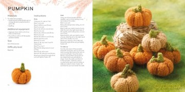 Knit a Mini Farmyard: 20 tiny patterns to knit - Sachiyo Ishii [KSIĄŻKA]