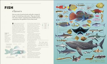 Knowledge A Visual Compendium: Making Sense of our World [KSIĄŻKA]
