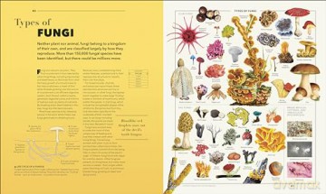 Knowledge A Visual Compendium: Making Sense of our World [KSIĄŻKA]