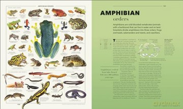 Knowledge A Visual Compendium: Making Sense of our World [KSIĄŻKA]