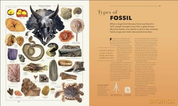 Knowledge A Visual Compendium: Making Sense of our World [KSIĄŻKA]