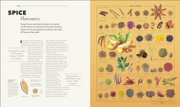 Knowledge A Visual Compendium: Making Sense of our World [KSIĄŻKA]