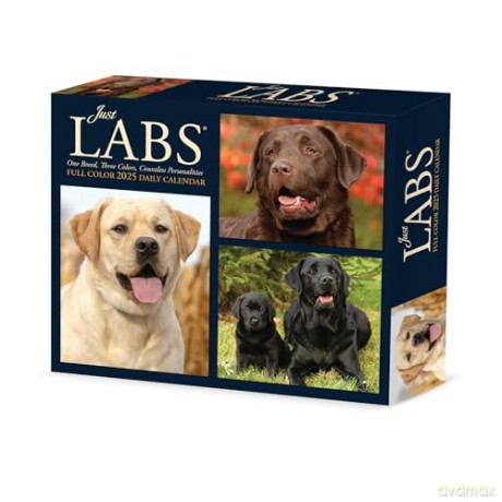 Labs 2025 Box [KSIĄŻKA]