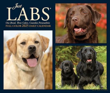 Labs 2025 Box [KSIĄŻKA]