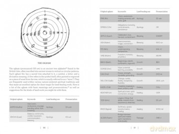 Land Healing: Physical, Metaphysical, and Ritual Practices for Healing the Earth - Dana O'Driscoll [KSIĄŻKA]