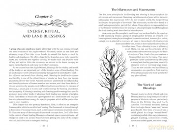 Land Healing: Physical, Metaphysical, and Ritual Practices for Healing the Earth - Dana O'Driscoll [KSIĄŻKA]