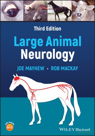 Large Animal Neurology - Joe Mayhew [KSIĄŻKA]