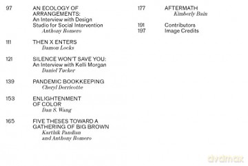 Lastgaspism: Art and Survival in the Age of Pandemic - Anthony Romero [KSIĄŻKA]