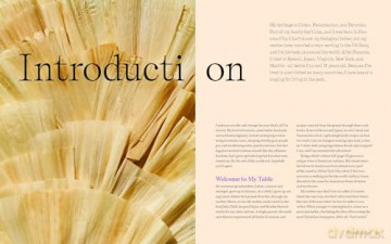 Latin-Ish: More Than 100 Recipes Celebrating American Latino Cuisines - Marisel Salazar [KSIĄŻKA]