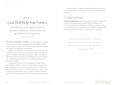 Learning How to Forgive: A Devotional of Prayers and Practices to Release Negative Emotions and Achieve True Forgiveness - Chris Bailey [KSIĄŻKA]