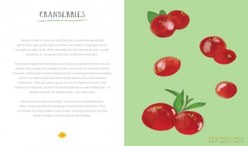 Lemons are a Girl's Best Friend: Super fruity beauty food for glowing health inside and out - Janet Hayward [KSIĄŻKA]