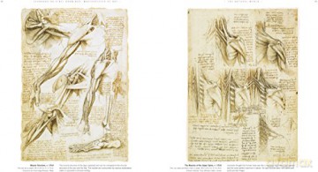 Leonardo da Vinci Drawings Masterpieces of Art - Susan Grange [KSIĄŻKA]