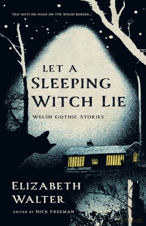 Let a Sleeping Witch Lie: Welsh Gothic Stories by Elizabeth Walter - Elizabeth Walter [KSIĄŻKA]