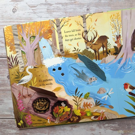 Let's Explore the Woods (Nature Die-Cut Books) - Laura Garnerburt [KSIĄŻKA]
