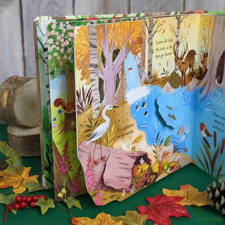Let's Explore the Woods (Nature Die-Cut Books) - Laura Garnerburt [KSIĄŻKA]
