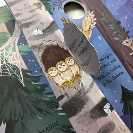Let's Explore the Woods (Nature Die-Cut Books) - Laura Garnerburt [KSIĄŻKA]