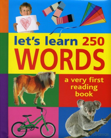 Let's Learn 250 Words: A Very First Reading Book - Armadillo [KSIĄŻKA]