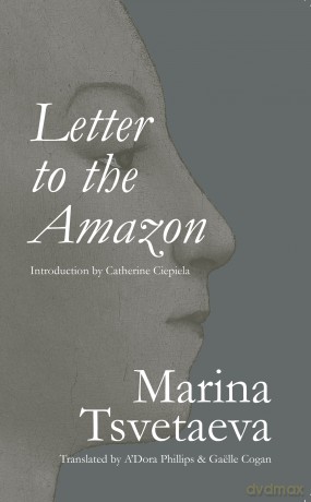 Letter to the Amazon (Eastern European Poets, 41) - Marina Tsvetaeva [KSIĄŻKA]