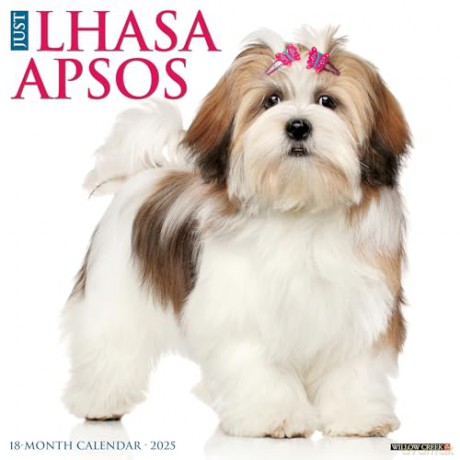 Lhasa Apsos 2025 Wall [KSIĄŻKA]
