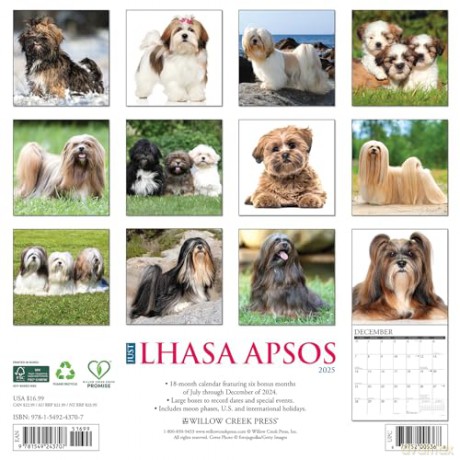 Lhasa Apsos 2025 Wall [KSIĄŻKA]