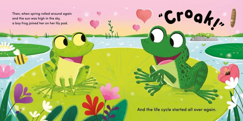 Life Cycle Stories: Frog - Flora Lily [KSIĄŻKA]