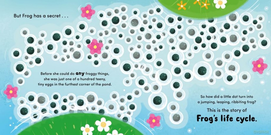 Life Cycle Stories: Frog - Flora Lily [KSIĄŻKA]