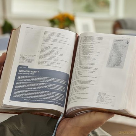 Life in Christ Bible: Discovering, Believing, and Rejoicing in Who God Says You Are (NKJV, Brown Bonded Leather, Red Letter, Comfort Print) - Thomas Nelson [KSIĄŻKA]