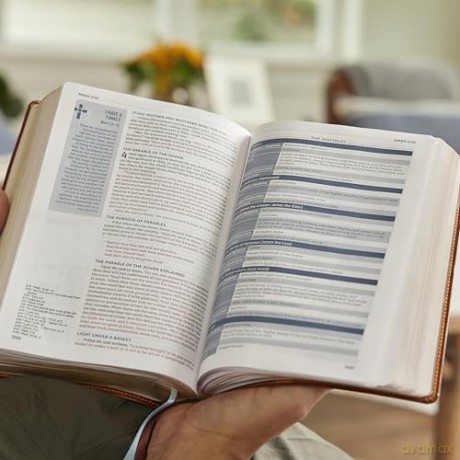 Life in Christ Bible: Discovering, Believing, and Rejoicing in Who God Says You Are (NKJV, Brown Bonded Leather, Red Letter, Comfort Print) - Thomas Nelson [KSIĄŻKA]