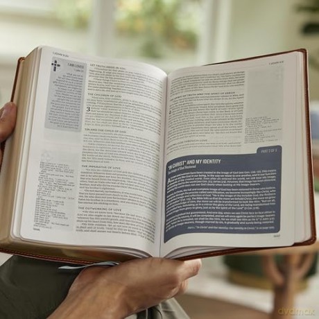 Life in Christ Bible: Discovering, Believing, and Rejoicing in Who God Says You Are (NKJV, Brown Bonded Leather, Red Letter, Comfort Print) - Thomas Nelson [KSIĄŻKA]