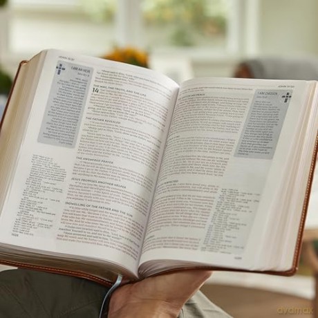 Life in Christ Bible: Discovering, Believing, and Rejoicing in Who God Says You Are (NKJV, Brown Bonded Leather, Red Letter, Comfort Print) - Thomas Nelson [KSIĄŻKA]