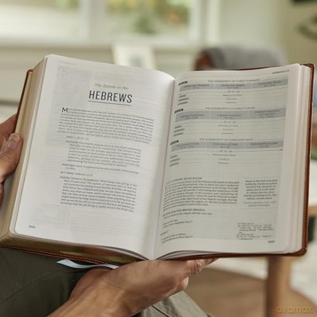 Life in Christ Bible: Discovering, Believing, and Rejoicing in Who God Says You Are (NKJV, Brown Leathersoft, Red Letter, Comfort Print) - Thomas Nelson [KSIĄŻKA]