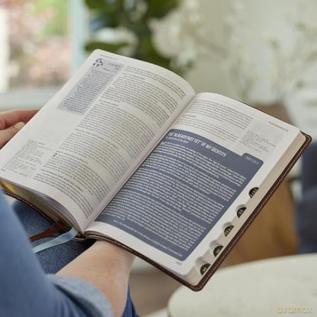 Life in Christ Bible: Discovering, Believing, and Rejoicing in Who God Says You Are (NKJV, Brown Leathersoft, Thumb Indexed, Red Letter, Comfort Print) - Thomas Nelson [KSIĄŻKA]