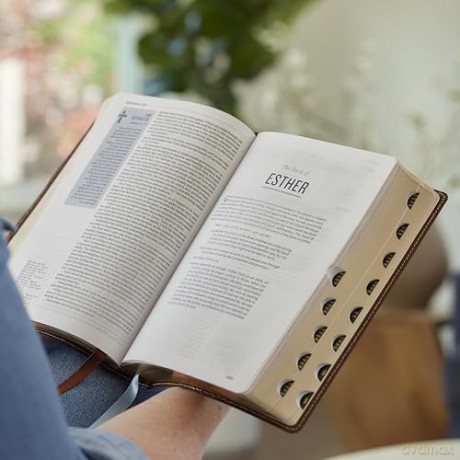 Life in Christ Bible: Discovering, Believing, and Rejoicing in Who God Says You Are (NKJV, Brown Leathersoft, Thumb Indexed, Red Letter, Comfort Print) - Thomas Nelson [KSIĄŻKA]