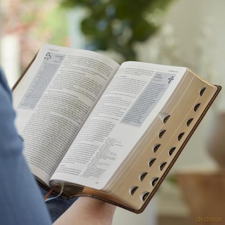 Life in Christ Bible: Discovering, Believing, and Rejoicing in Who God Says You Are (NKJV, Brown Leathersoft, Thumb Indexed, Red Letter, Comfort Print) - Thomas Nelson [KSIĄŻKA]