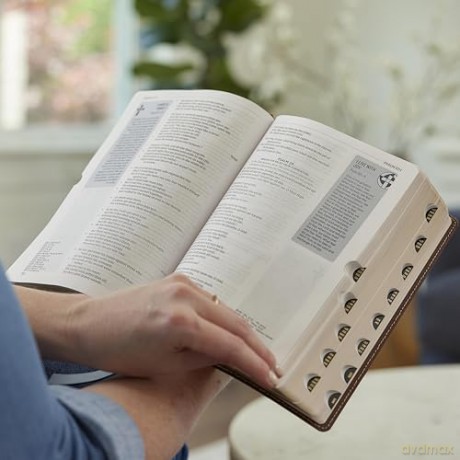 Life in Christ Bible: Discovering, Believing, and Rejoicing in Who God Says You Are (NKJV, Brown Leathersoft, Thumb Indexed, Red Letter, Comfort Print) - Thomas Nelson [KSIĄŻKA]