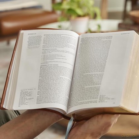 Life in Christ Bible: Discovering, Believing, and Rejoicing in Who God Says You Are (NKJV, Cream Leathersoft, Red Letter, Comfort Print) - Thomas Nelson [KSIĄŻKA]