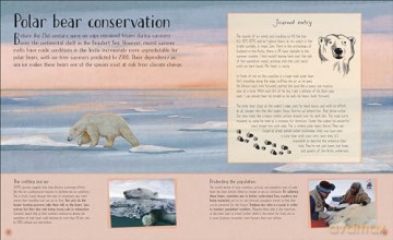 Life in the Wild: Observing the Mysterious Lives of 10 Real Animals - Lizzie Daly [KSIĄŻKA]