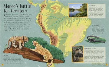Life in the Wild: Observing the Mysterious Lives of 10 Real Animals - Lizzie Daly [KSIĄŻKA]