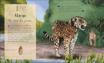 Life in the Wild: Observing the Mysterious Lives of 10 Real Animals - Lizzie Daly [KSIĄŻKA]