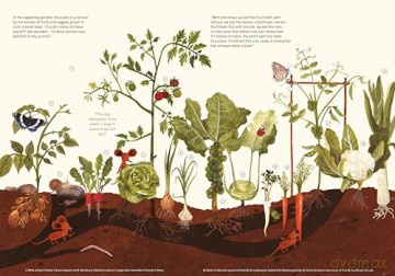 Little Mouse's Encyclopedia: A Picture Book about the Wonders of Nature - Tereza Vostradovska [KSIĄŻKA]