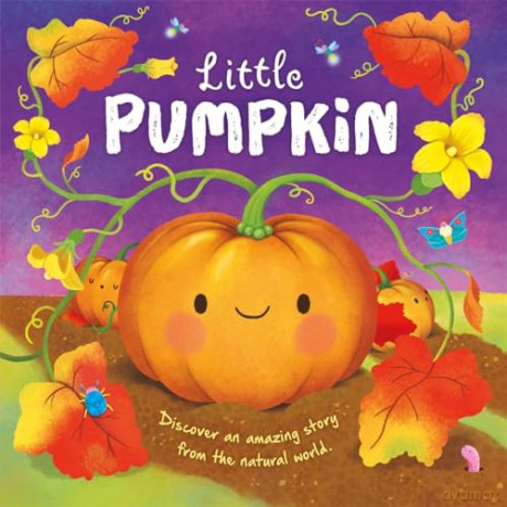 Little Pumpkin (An illustrated story about the life-cycle of a pumpkin) [KSIĄŻKA]
