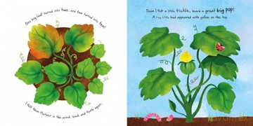 Little Pumpkin (An illustrated story about the life-cycle of a pumpkin) [KSIĄŻKA]