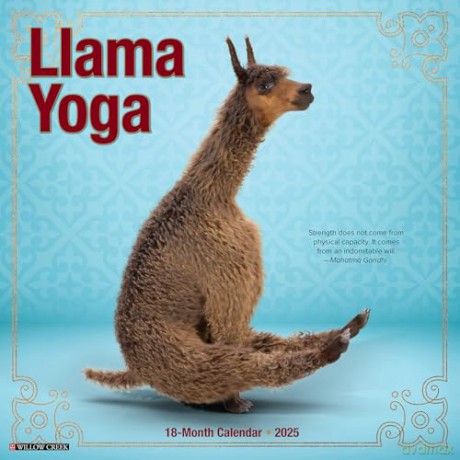Llama Yoga 2025 Wall [KSIĄŻKA]