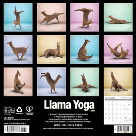 Llama Yoga 2025 Wall [KSIĄŻKA]