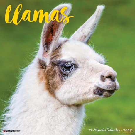 Llamas 2025 Wall [KSIĄŻKA]
