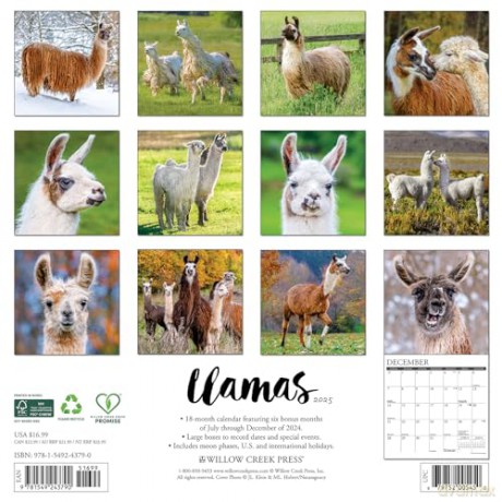 Llamas 2025 Wall [KSIĄŻKA]