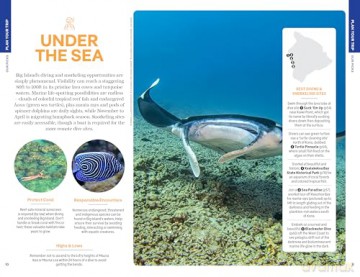 Lonely Planet Hawaii the Big Island (Travel Guide) - Jade Bremner [KSIĄŻKA]