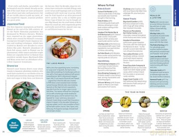 Lonely Planet Hawaii the Big Island (Travel Guide) - Jade Bremner [KSIĄŻKA]