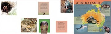 Lonely Planet Kids Deadly Animal Atlas - Lonely Planet [KSIĄŻKA]